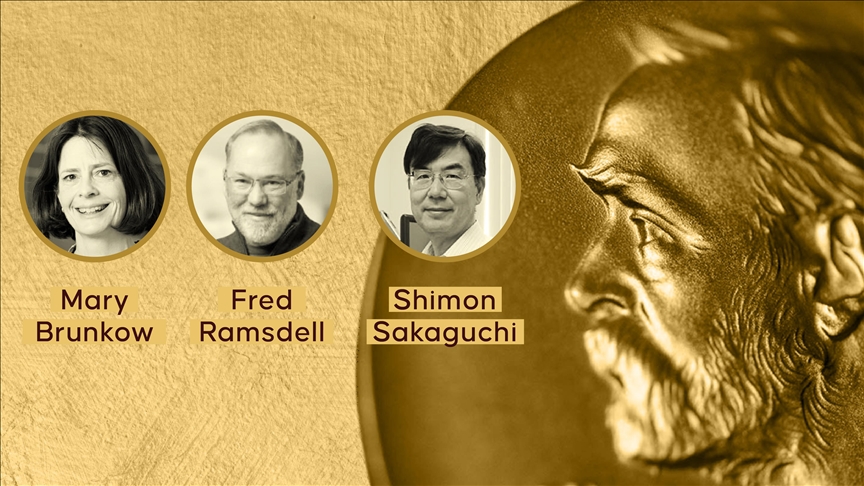 2025 Nobel Tıp Ödülü’nün sahibi belli oldu